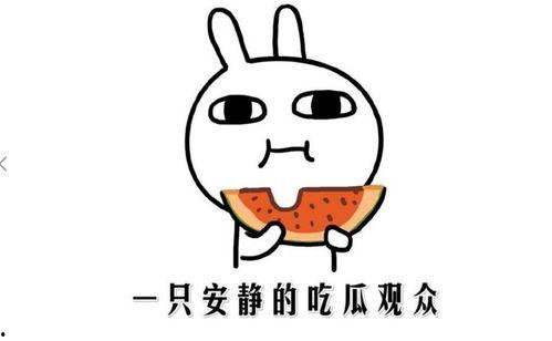 娱乐吃瓜君的消息准确吗,消息准确性揭秘